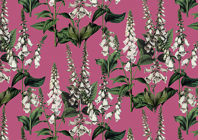 Foxcote, Cosmos - Roman Blind - Image 7